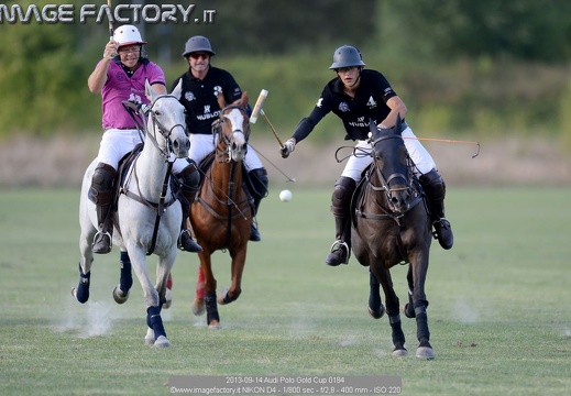 2013-09-14 Audi Polo Gold Cup